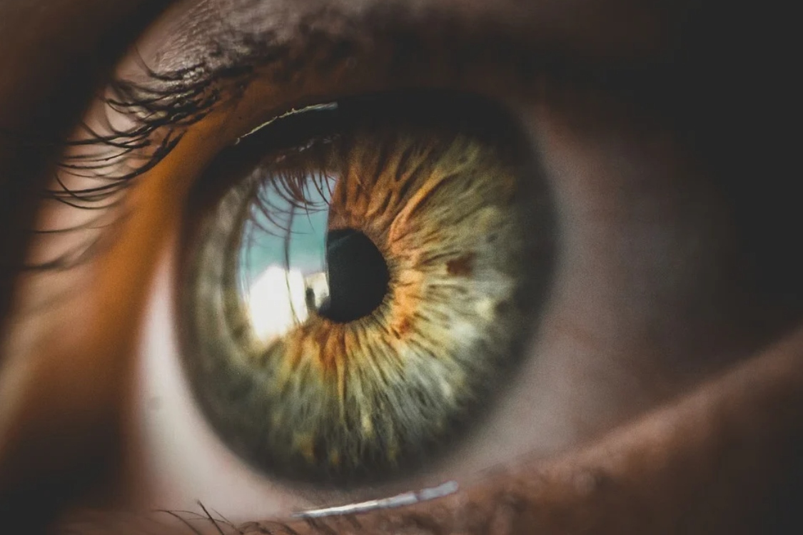 Ótica de criança: o que os meninos devem comer para melhorar a saúde dos olhos!